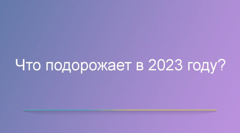 Что подорожает в 2023 году?